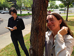 Louping a tree trunk